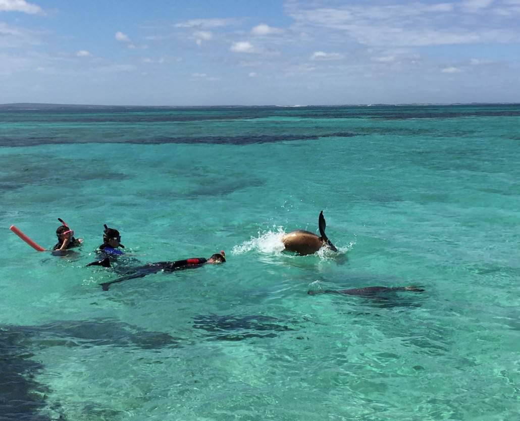 Pinnacles And Sea Lions Adventure