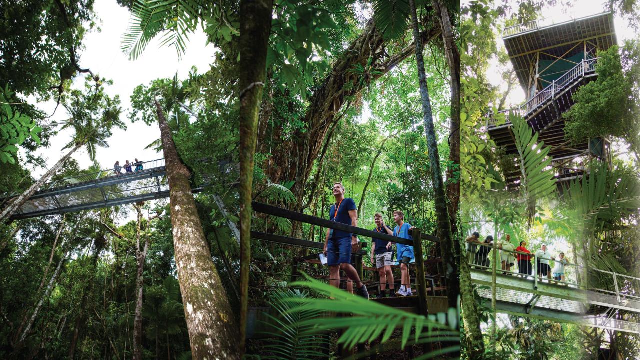 Crocodile Express Daintree River Cruise Departing From Daintree Ferry Gateway & Daintree Discovery