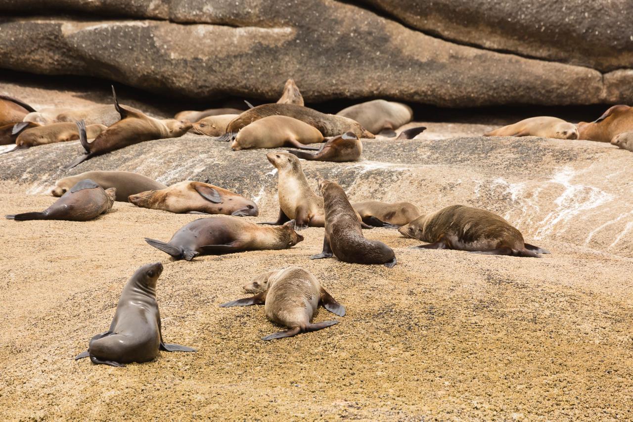 Wilsons Promontory Cruises