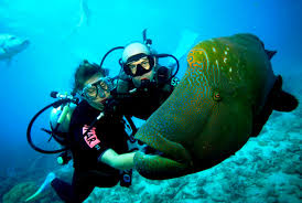 Discover Scuba Diving