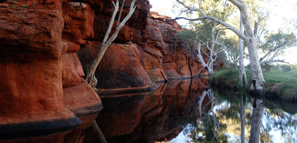 Canning Stock Route Expedition