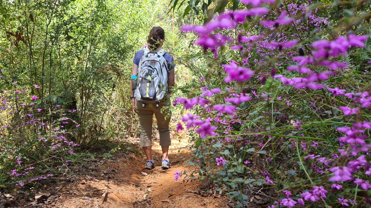 Dwellingup Hike, Wine & Dine Experience