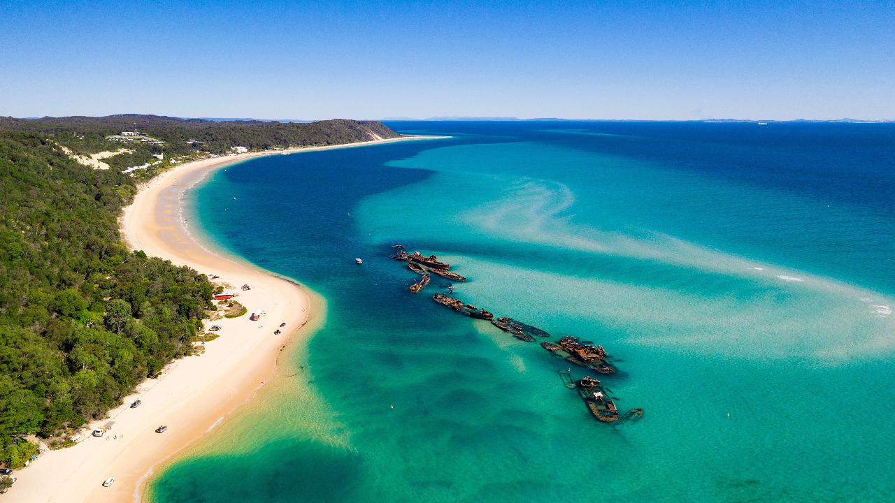 Dolphin & Tangalooma Wrecks Cruise For Family