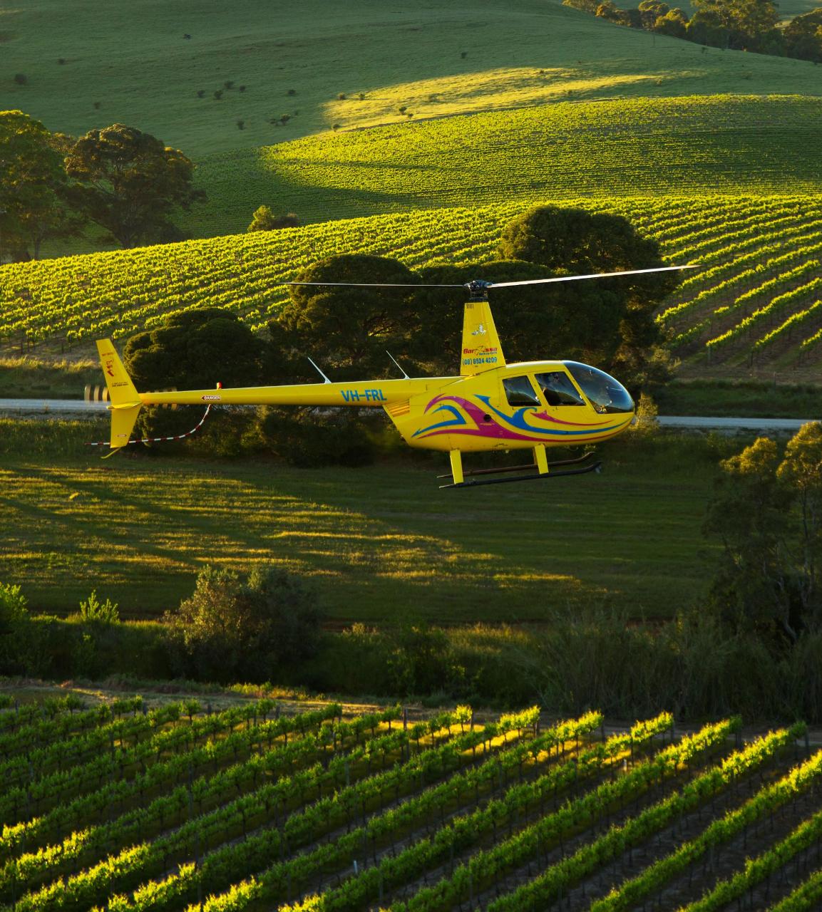 Private Southern Barossa - 10 Minute Scenic Flight