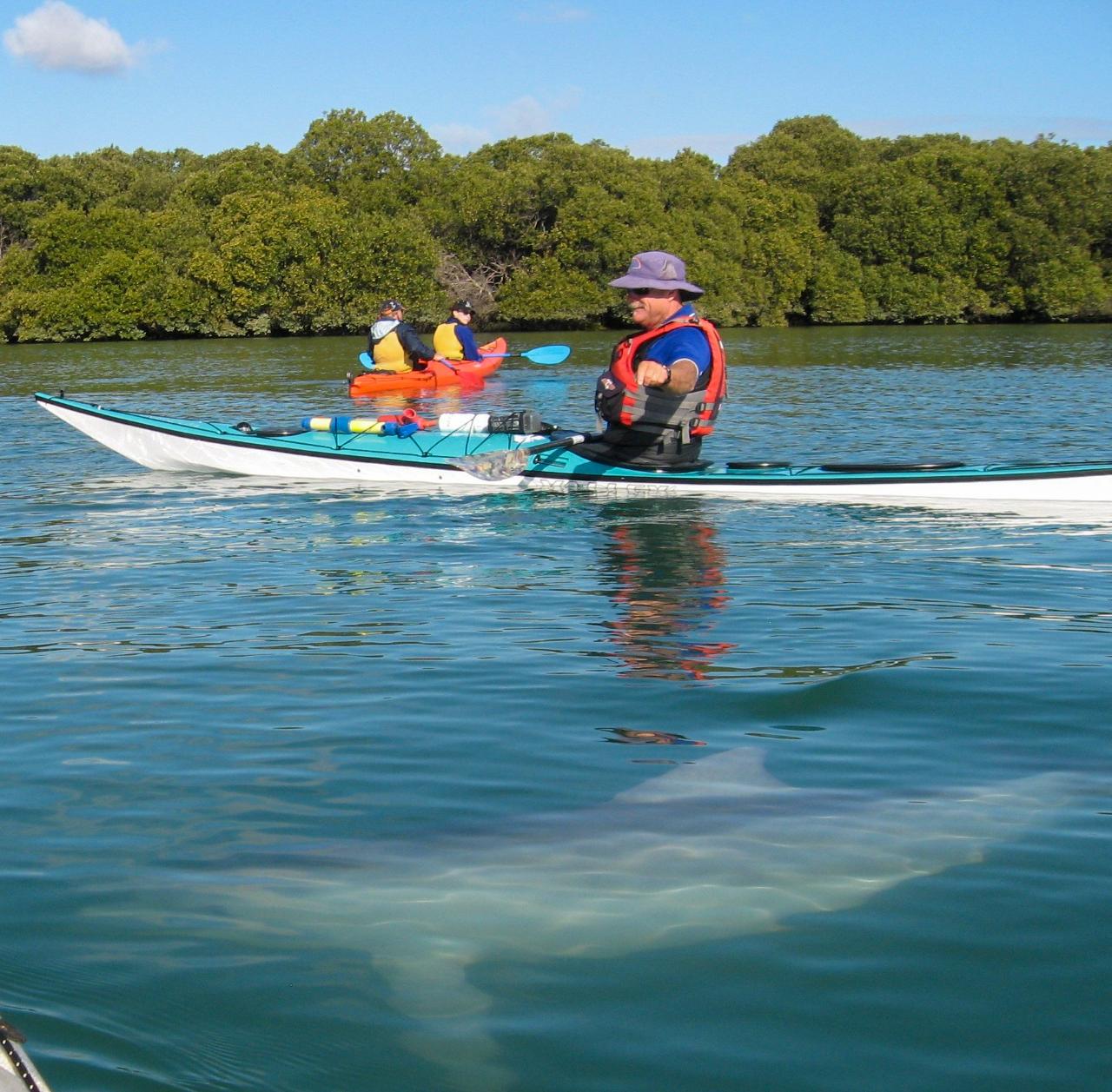 1 Person Kayak Hire