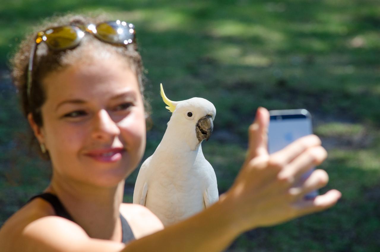 Autopia Tours: Great Ocean Road Twelve Apostles Tour