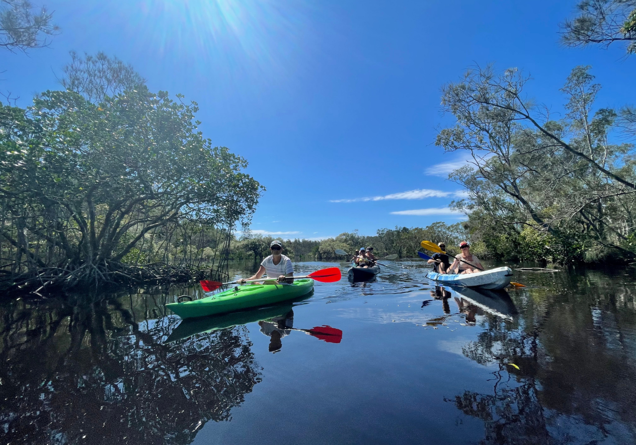 Noosa Kayak Tour