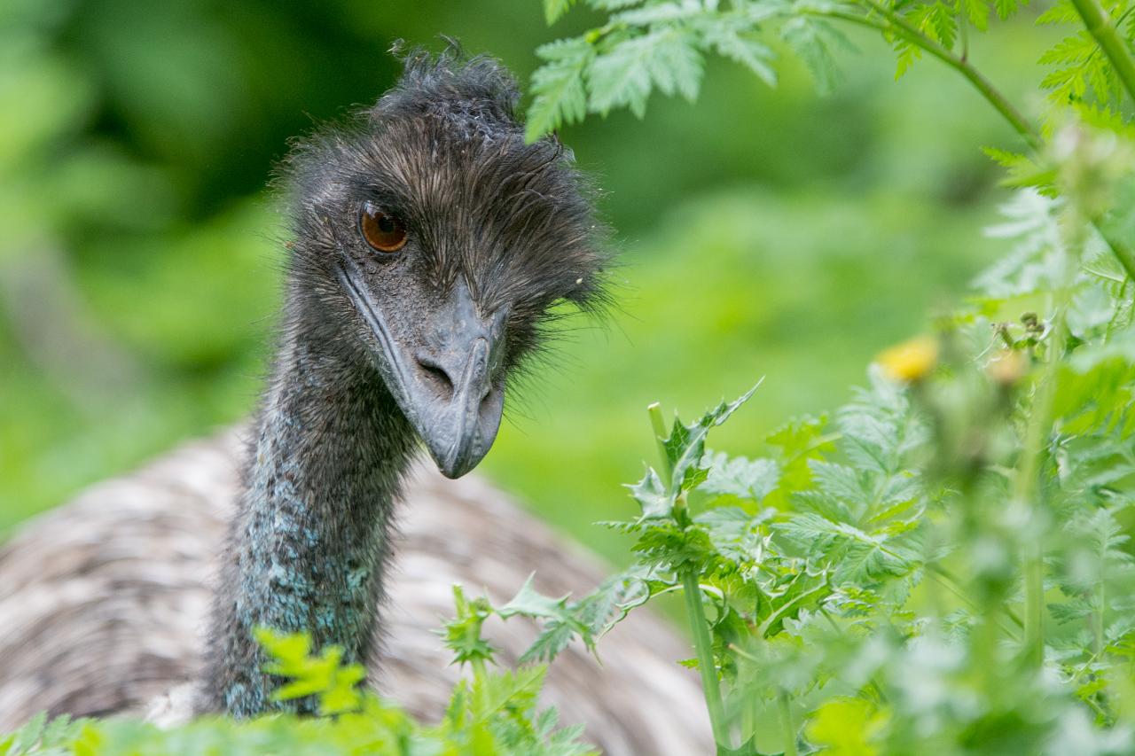 Autopia Tours: Grampians Eco Wilderness Escape