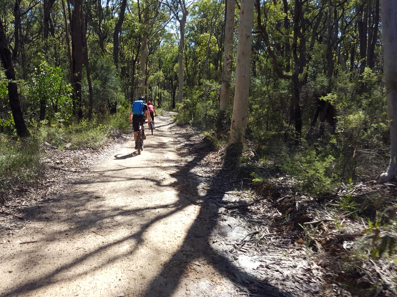 E- Bike (Electric) Guided Tour - Full Day - Private Charter - Blue Labyrinth - Glenbrook Precinct