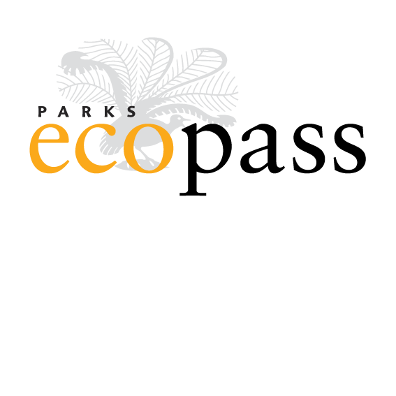 Welcome To Country - Bush Tucker & Bush Medicine Cultural Walk With Yuin Knowledge Holder