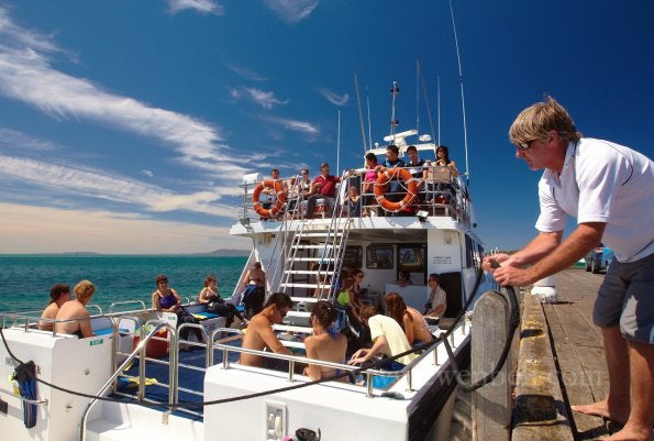 Small Group Seal Swim - Private Charter