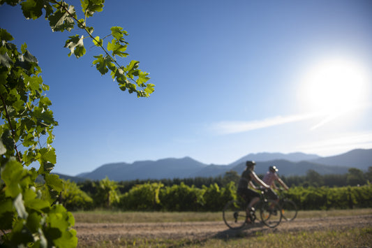 Tour De Murray To Mountains Self Guided