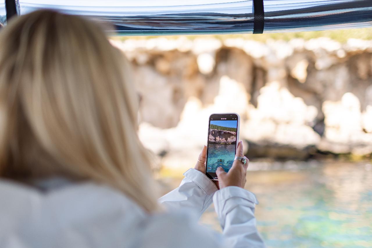 Dolphin, Penguin And Sea Lion Cruise