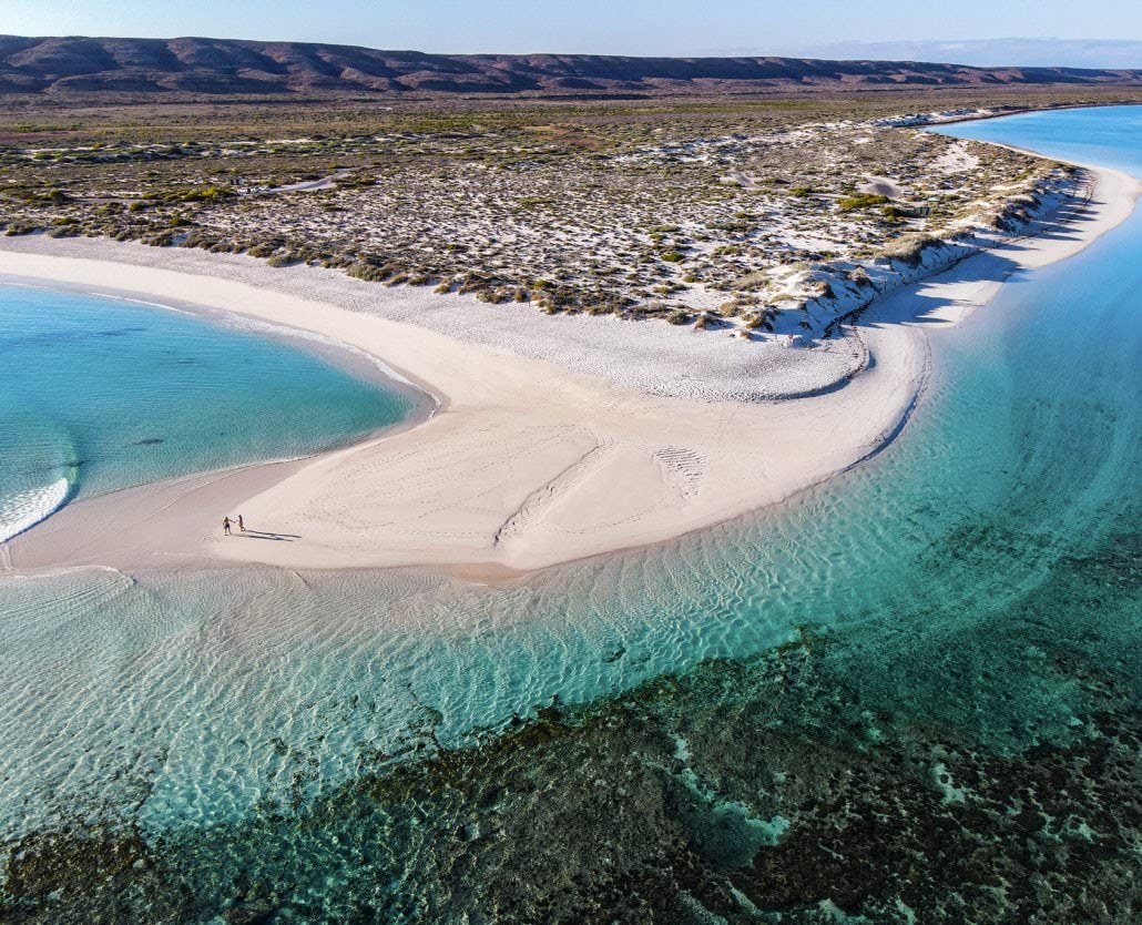 Whale Shark Overland Tour