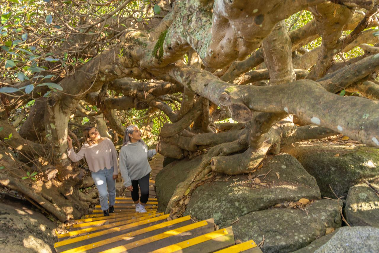Self Guided E-Bike Tour - Pedal To Produce Series - Narooma To Dromedary Hotel