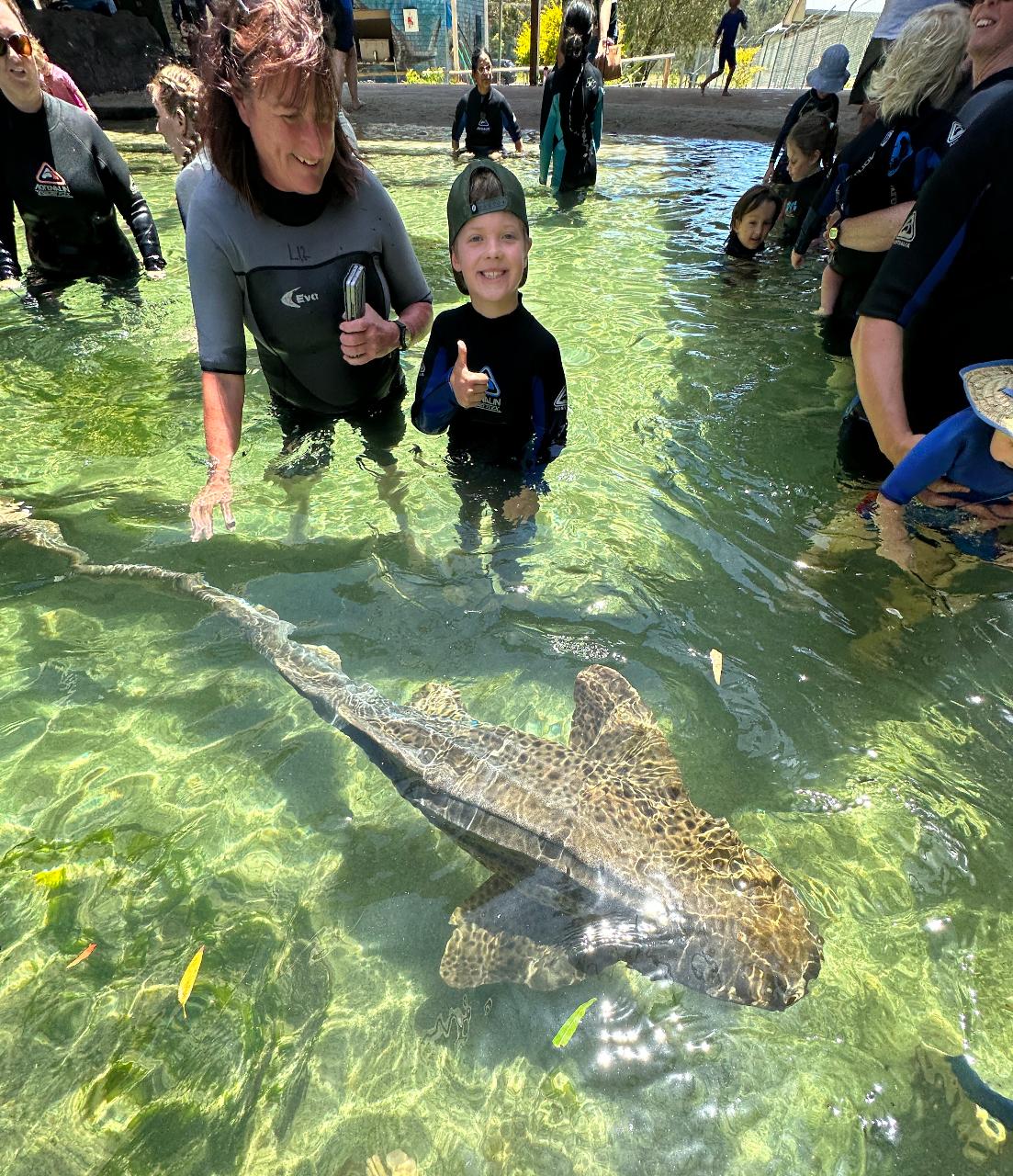 Irukandji Entry Pass & Stepping In The Lagoon Shallows & Shark Food