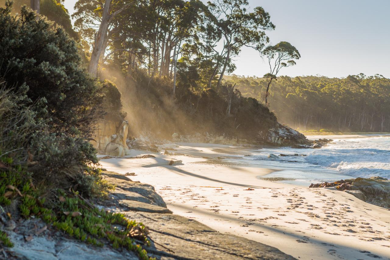 2 Day Bruny Island & Port Arthur Tour From Hobart