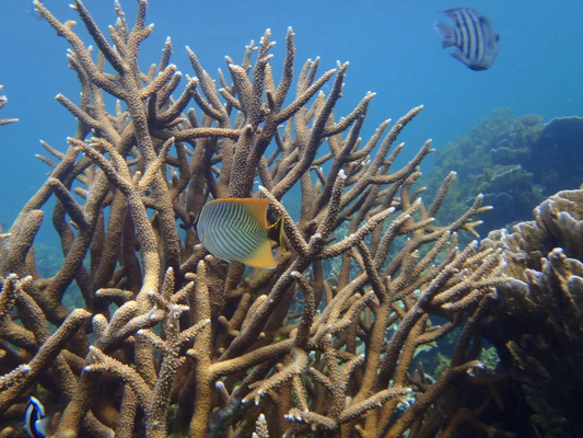 Perth To Exmouth One-Way Adventure