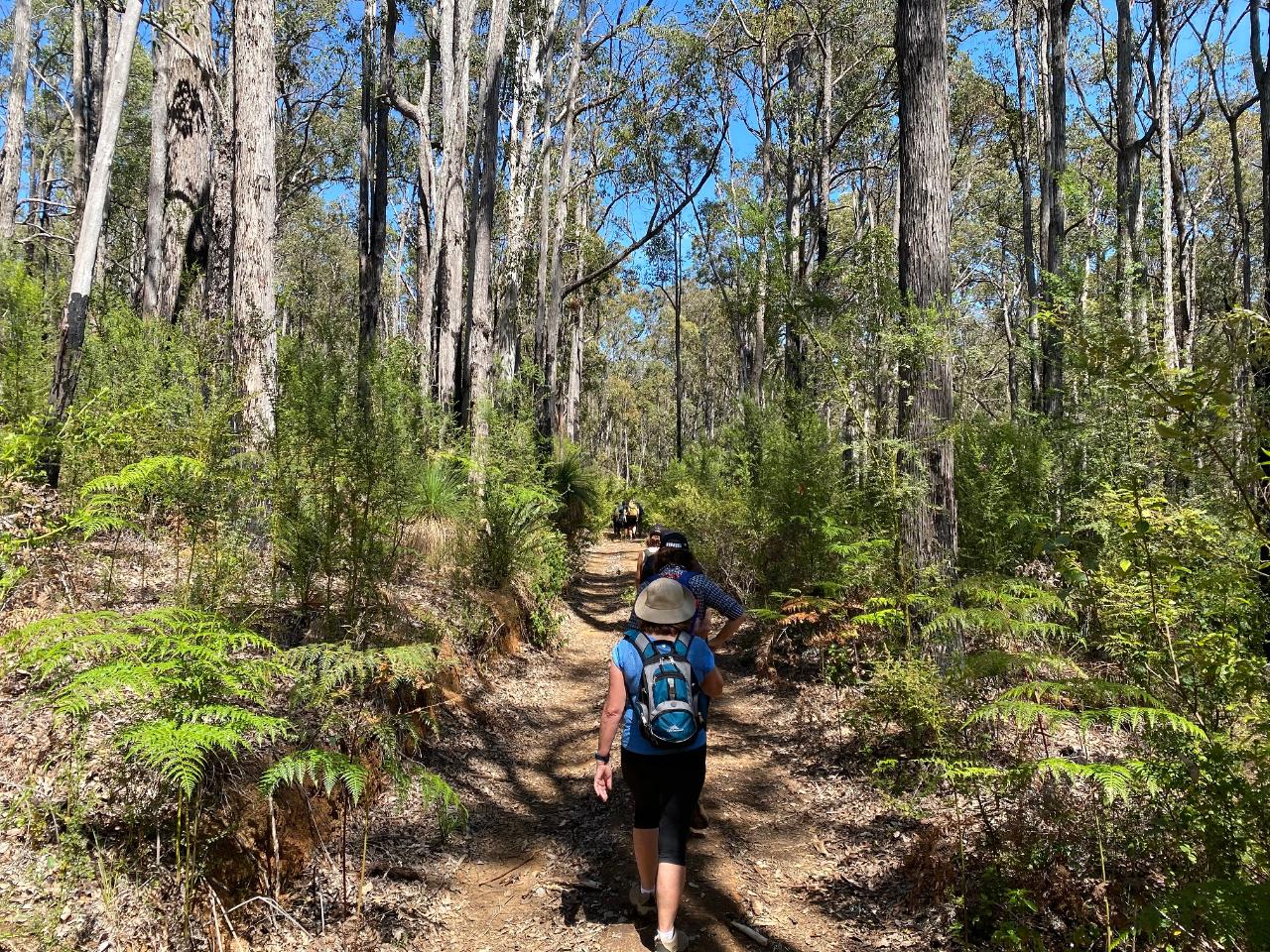Dwellingup Hike, Wine & Dine Experience