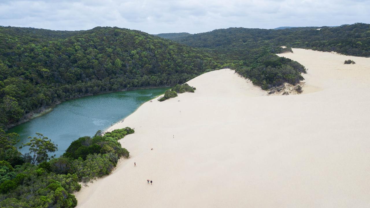 Adventure Hike: Valley Of The Giants - 4 Days