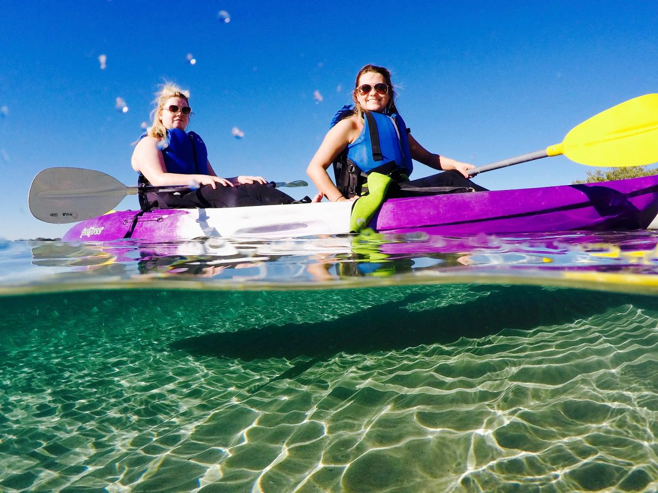 Broadwater Dolphin Kayaking & Snorkeling Tour