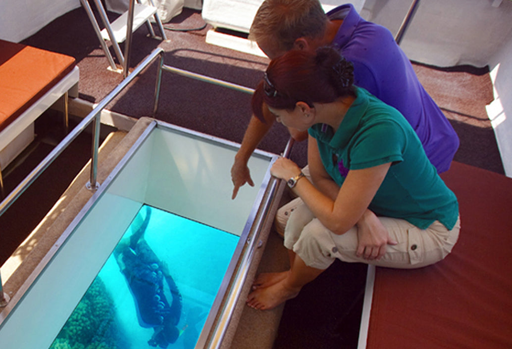 Penguin Island & Fremantle Town