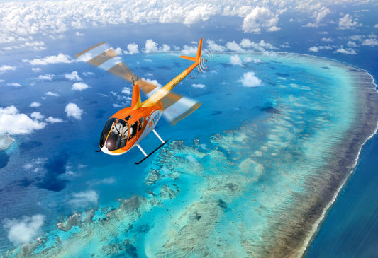 Outer Reef Odyssey