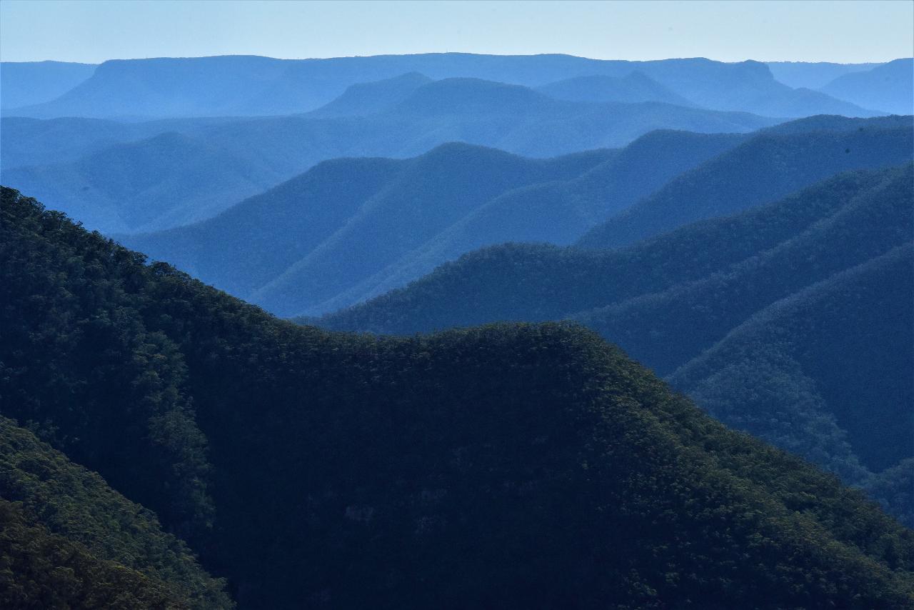 Blue Mountains Off The Beaten Track 4Wd Day Adventure Wildlife + River Cruise