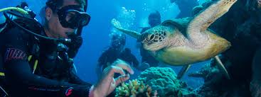 Day Walk - Pigeon House Mountain Morton National Park