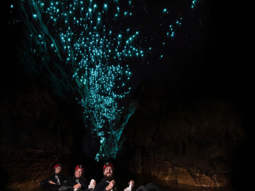 Daytime - Scenic Rim Glow Worm Tour - Gold Coast Pickup