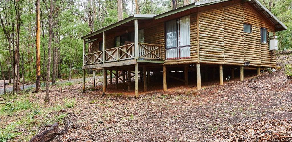 Southern Forests Weekender Experience