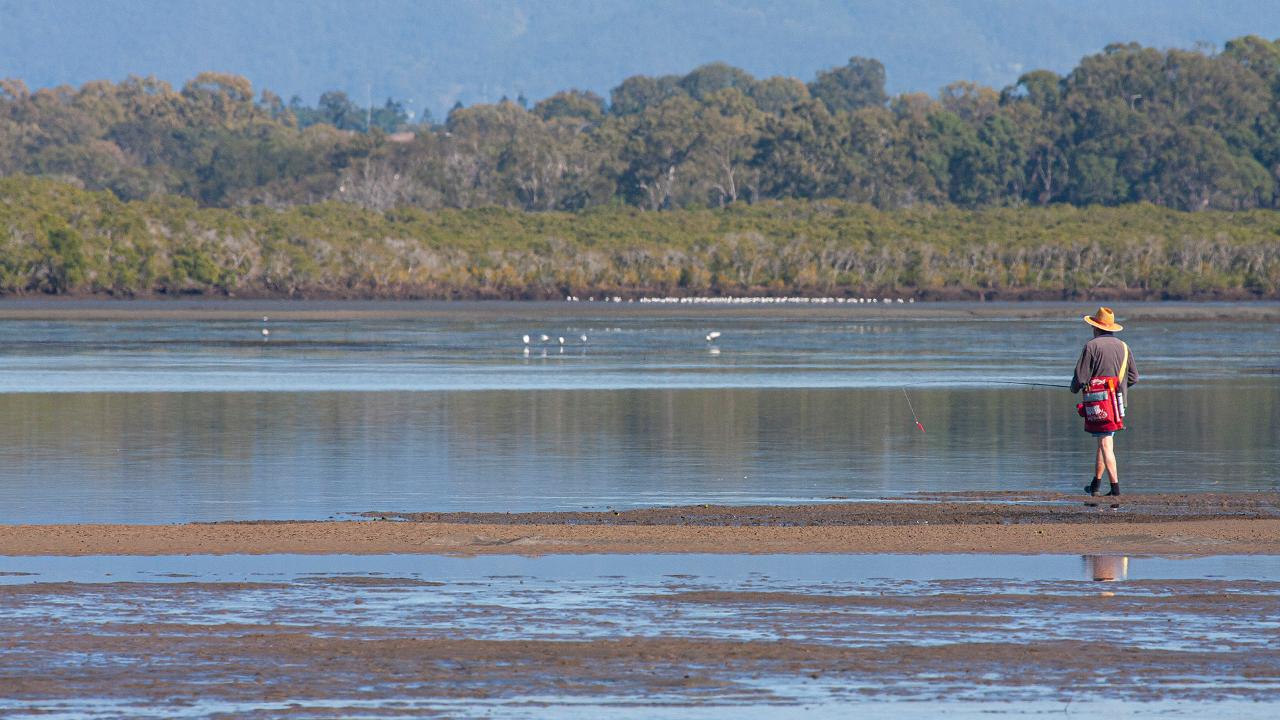 Kangaroos, Mangroves And The Ocean Tour