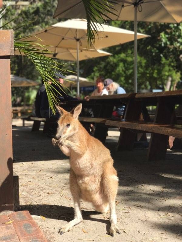 2.5 Hour Jet Ski Safari