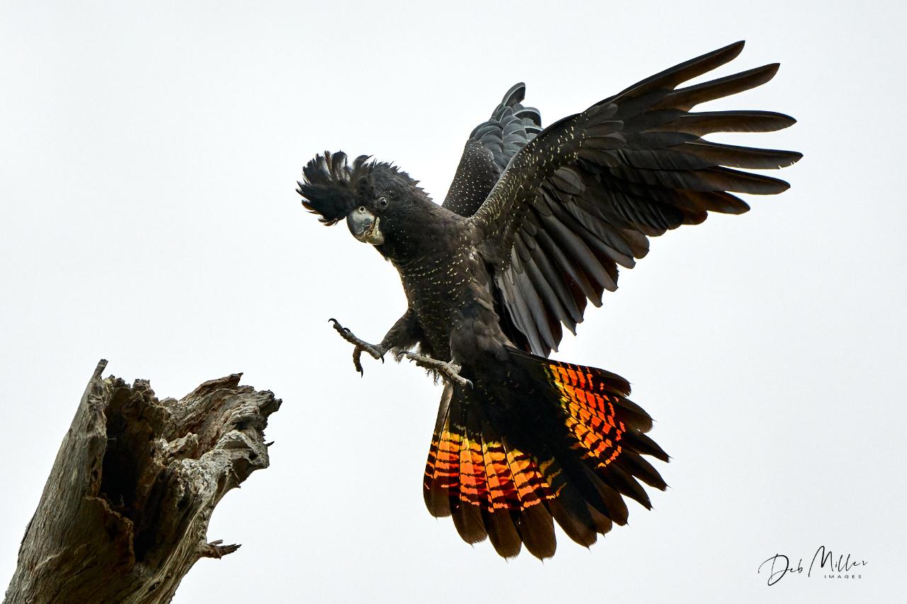 Southern Wheatbelt Wander Two Nights & Three Days