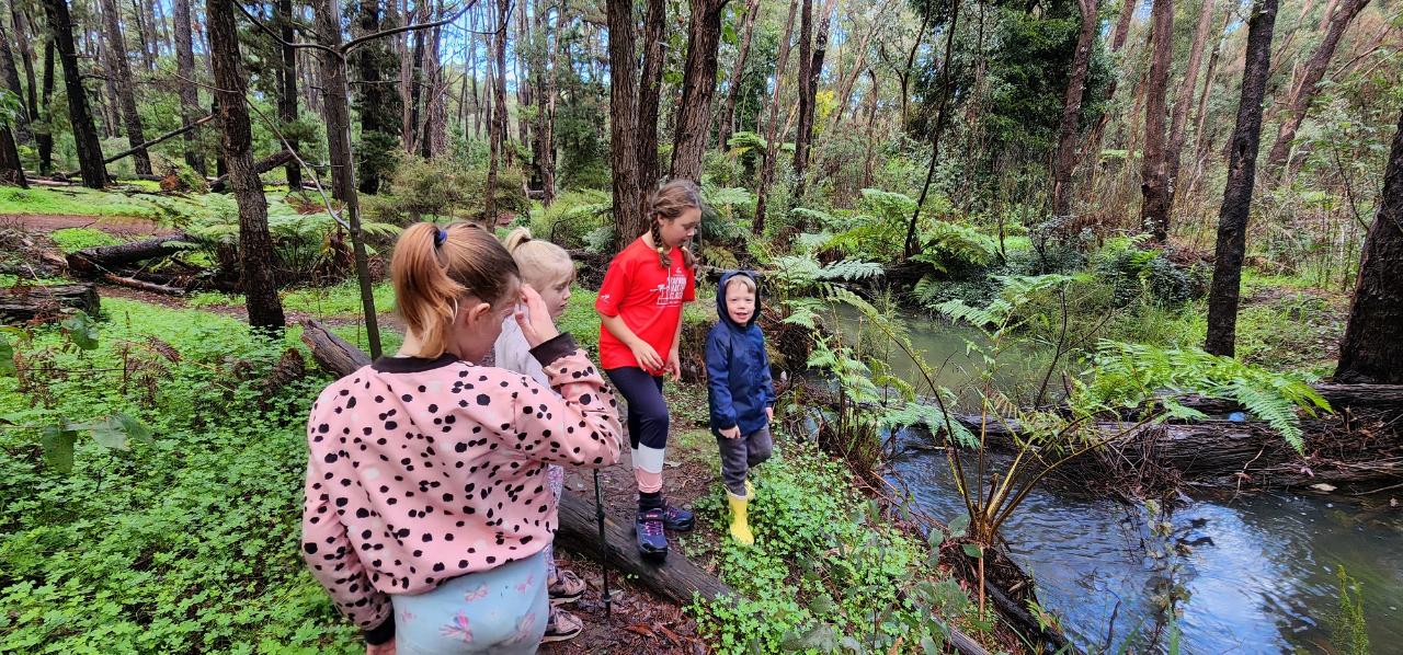 Kids Hiking Adventure