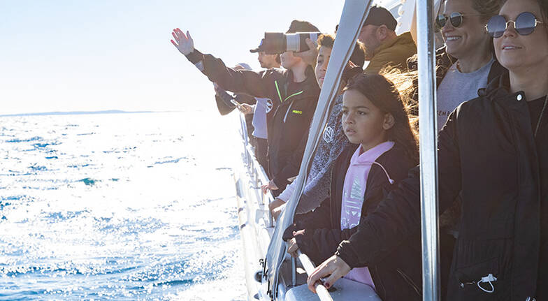 Ocean Whale Watching Experience