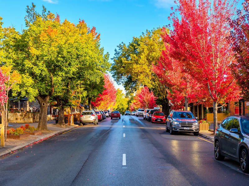 'A Taste Of Hahndorf' Gourmet Food & Wine E-Bike Tour