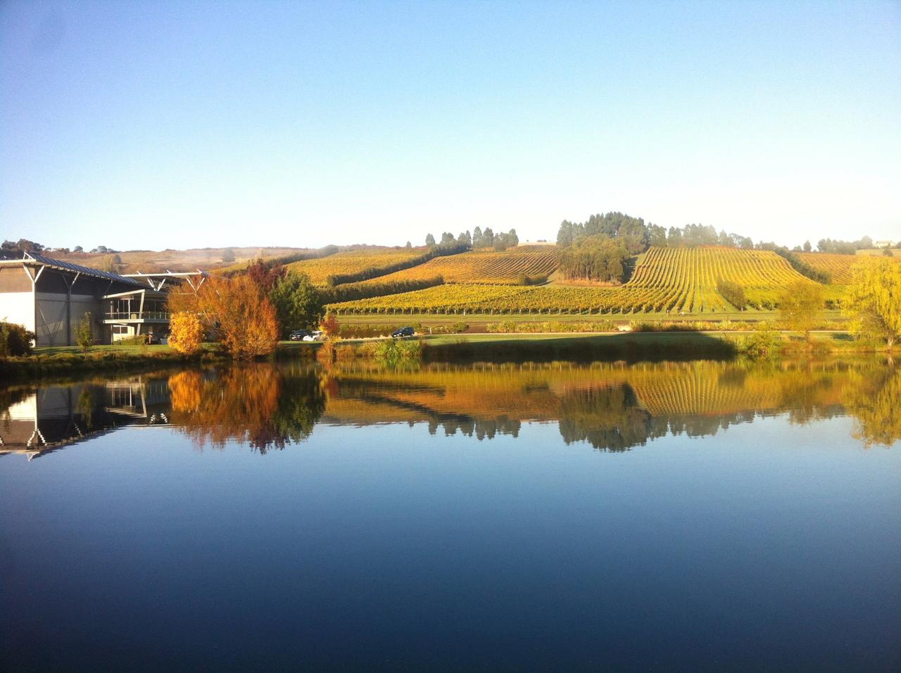 Go Behind The Label At Josef Chromy Wines