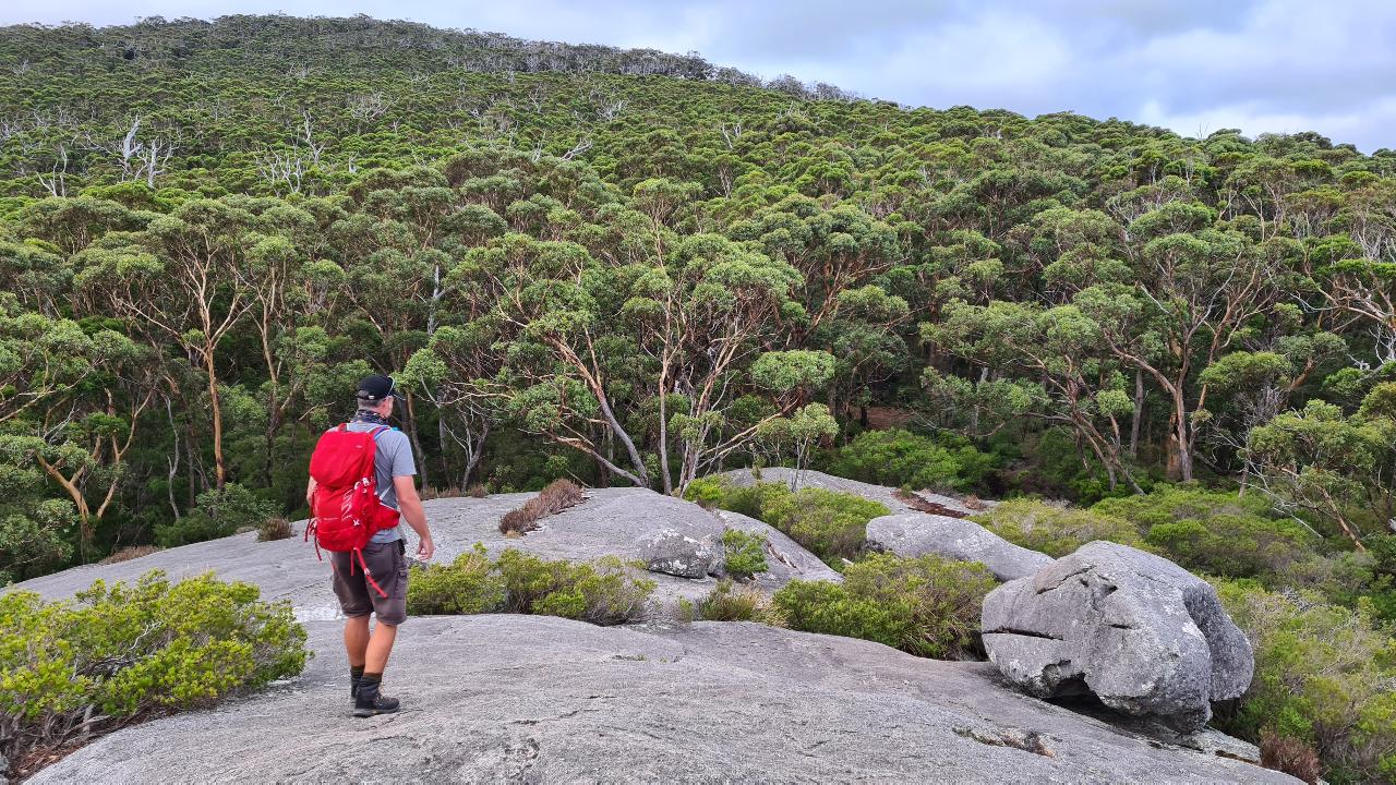 Walpole Wilderness Gourmet Adventure