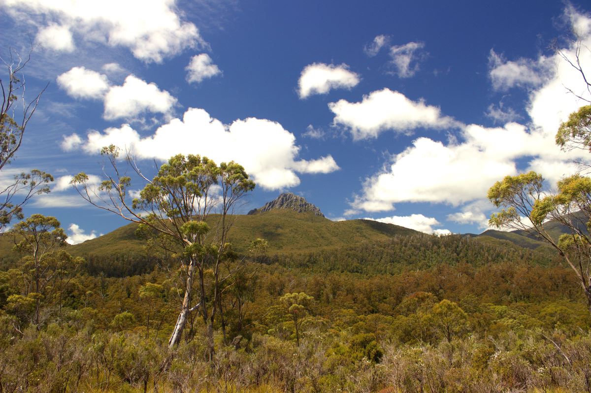 South West & Mount Field - Lutruwita Tasmania - 4 Days