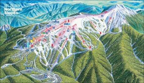 Mt Buller Snow Day Tour