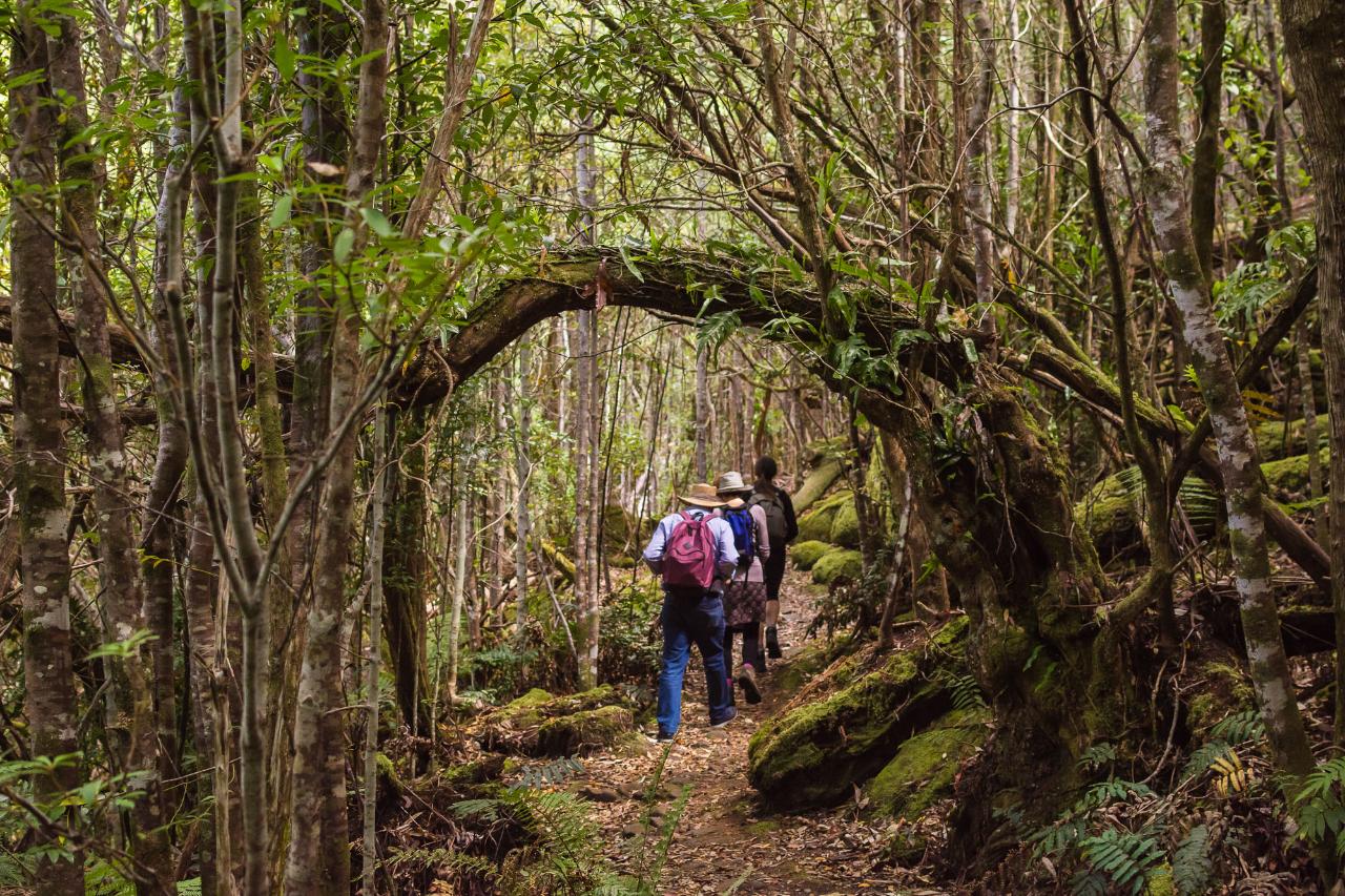 Wild Wellness Fire And Ice Walk