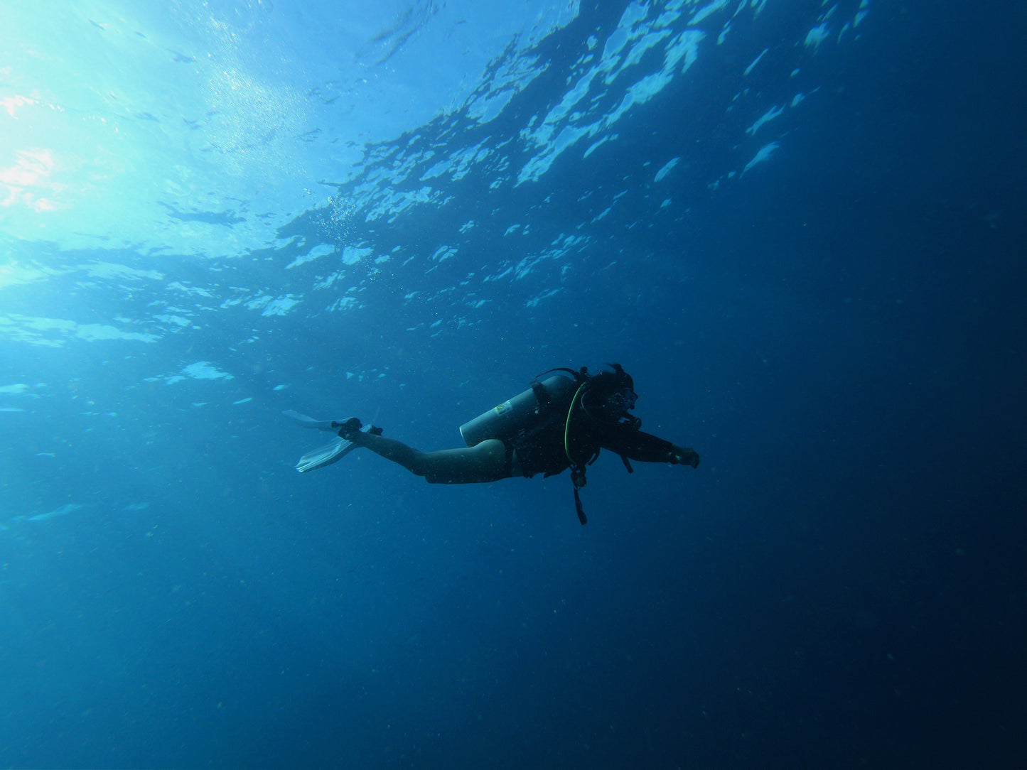 Ssi Master Diver Program
