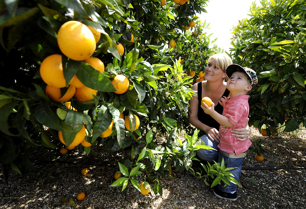 Swan Valley Fruit Orchard & Wildlife Park