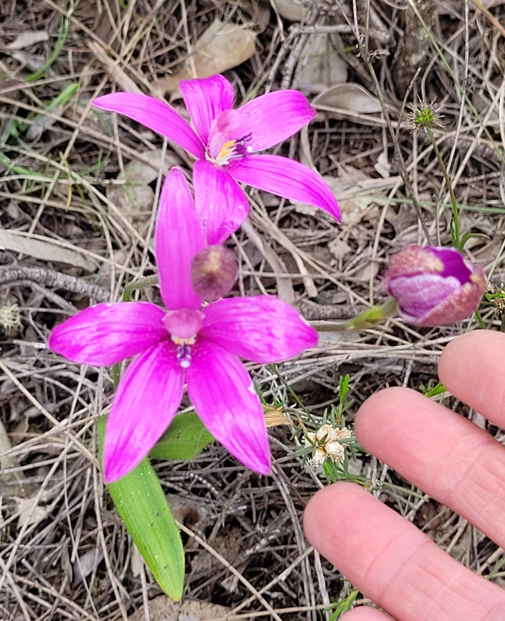 Southern Wheatbelt Wander Two Nights & Three Days