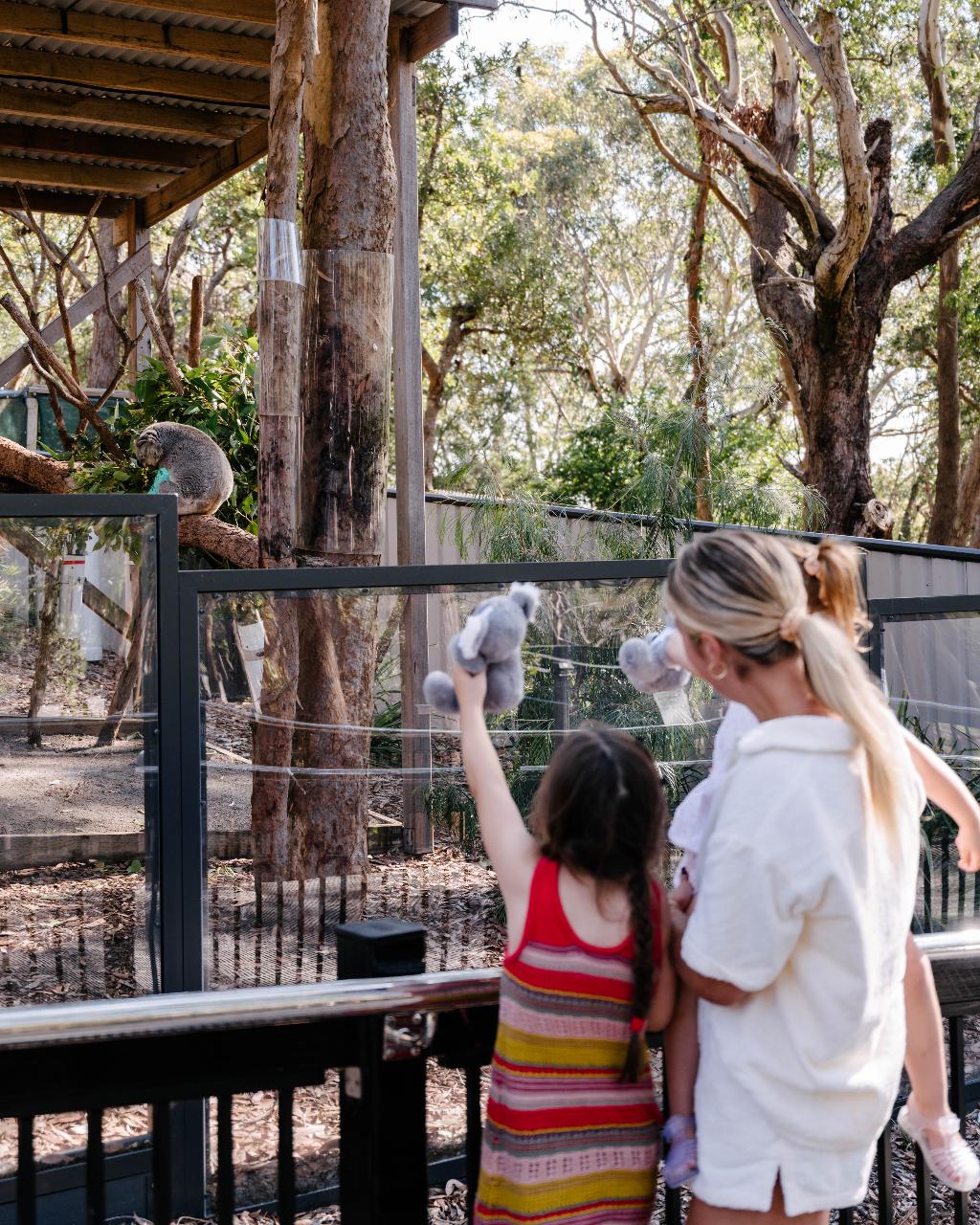 Family Pass At Port Stephens Koala Sanctuary