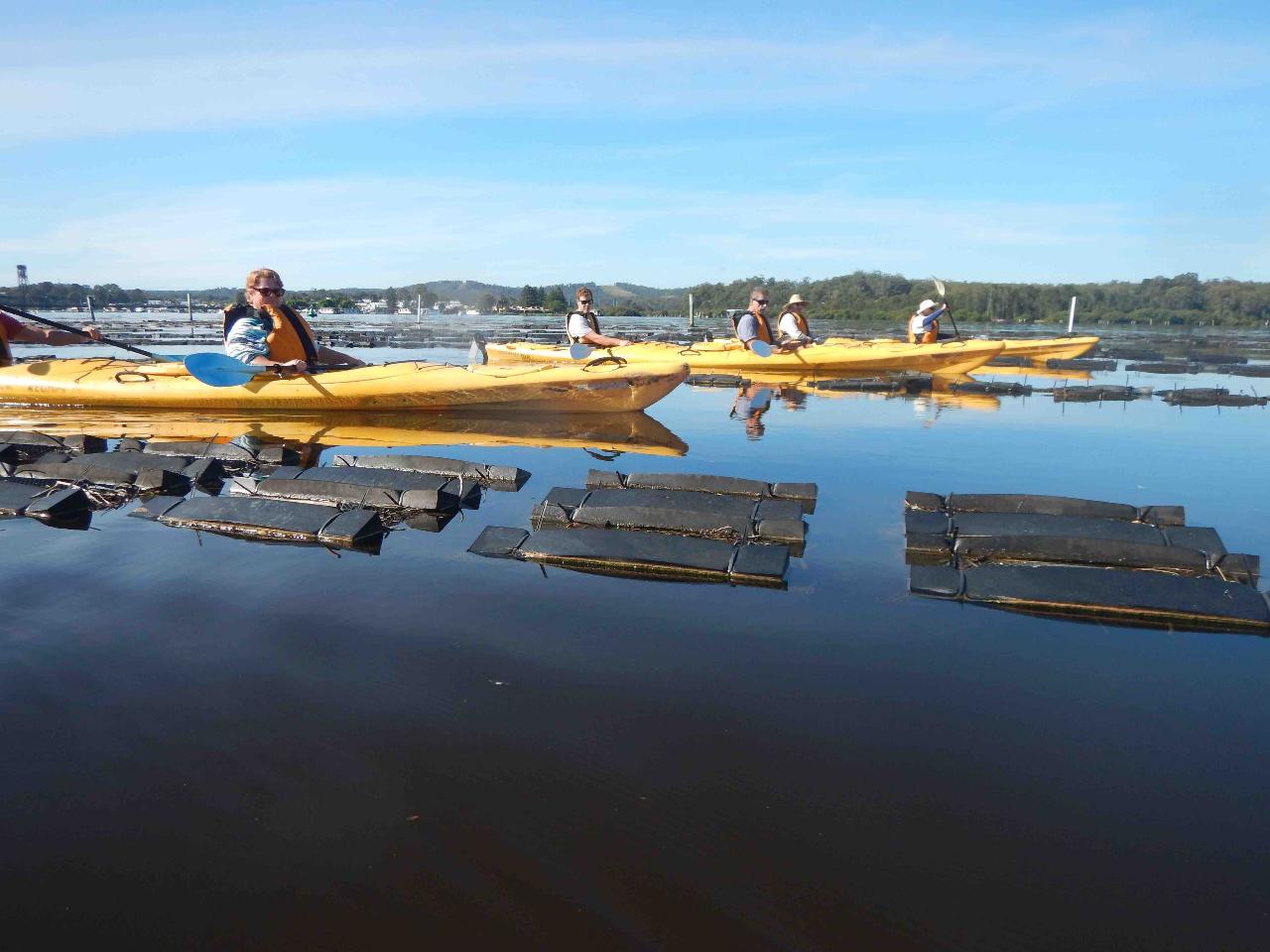 Oyster Tasting Kayak Tour - Batemans Bay