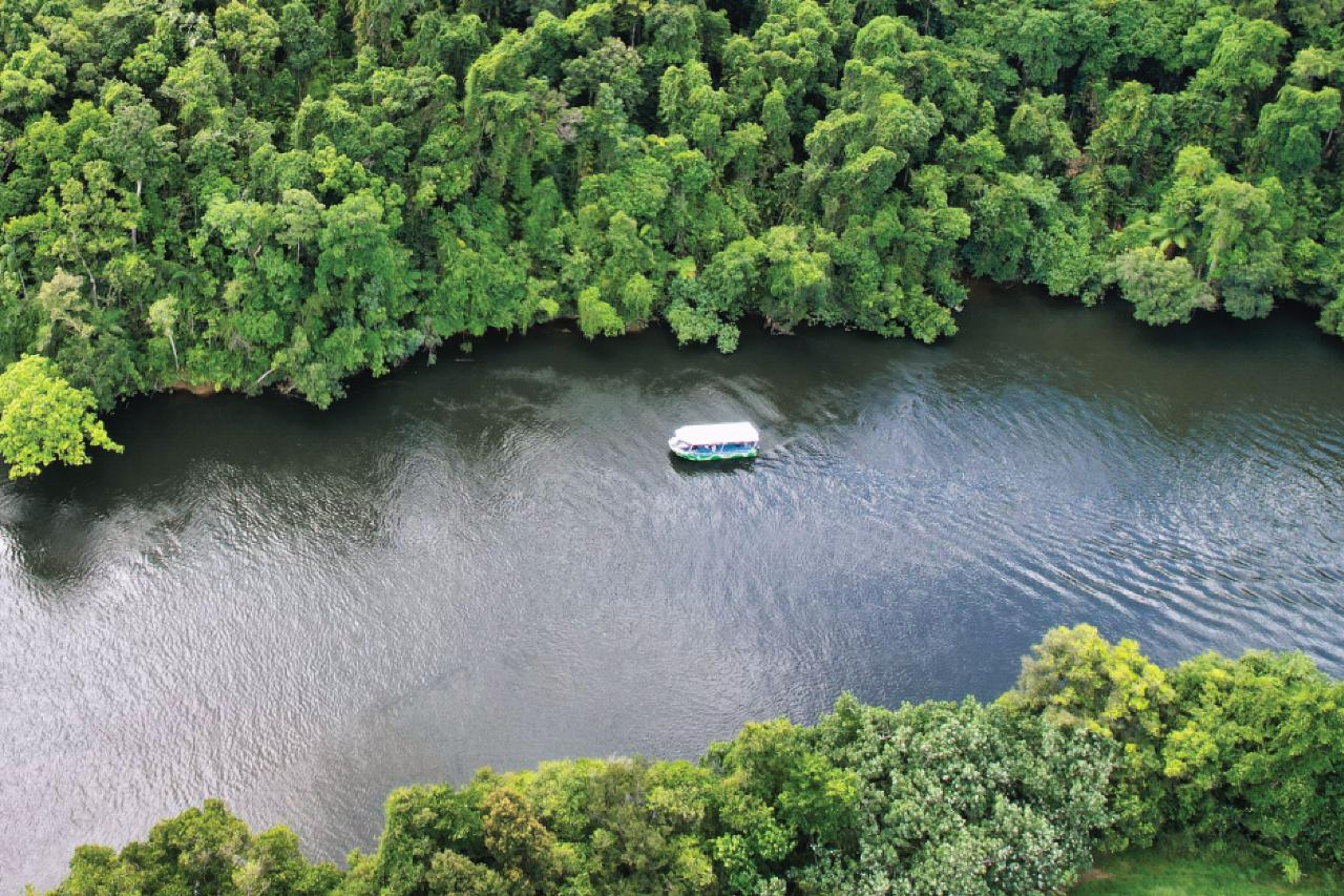 Crocodile Express Daintree River Cruise Departing From Daintree Ferry Gateway & Daintree Discovery