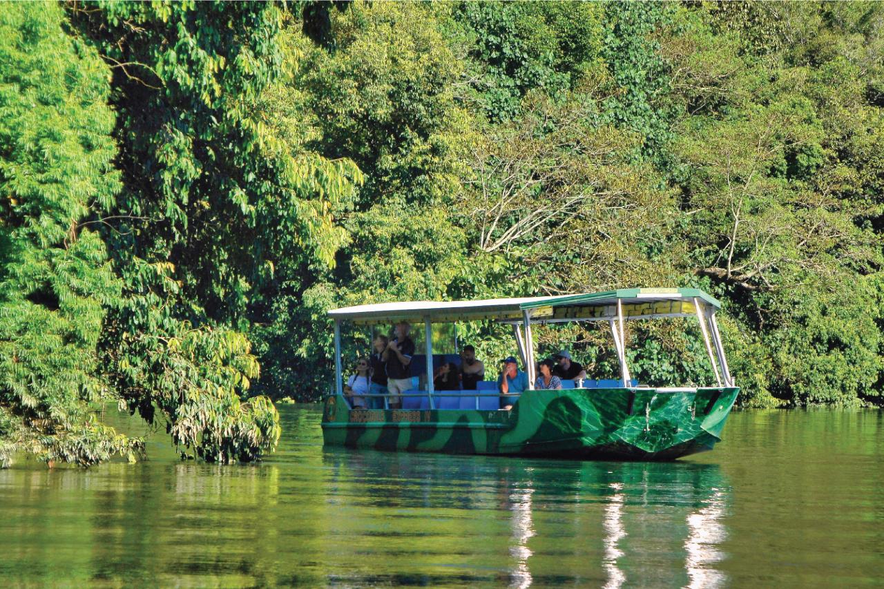 Crocodile Express Daintree River Cruise Departing From Daintree Ferry Gateway & Daintree Discovery