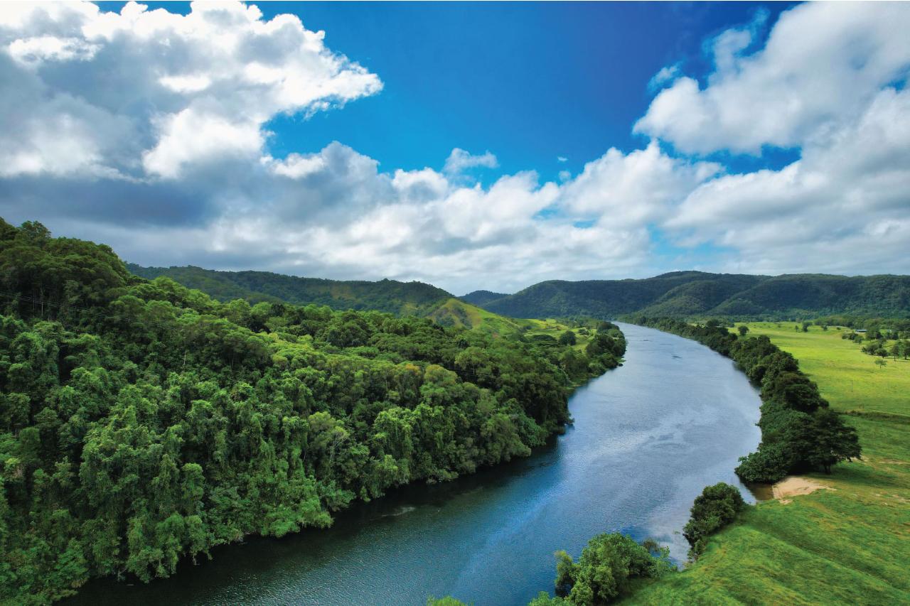 Crocodile Express Daintree River Cruise Departing From Daintree Ferry Gateway & Daintree Discovery